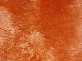 Оранжевый овчина шестишкурная  ORANGE