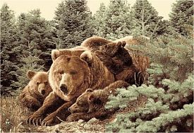 Ковер Фауна 50633 Медведь 