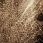 Ковер SUNRISE 2 D461 BEIGE